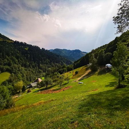 ホテルApuseni Glamping Retreat Bucium  エクステリア 写真