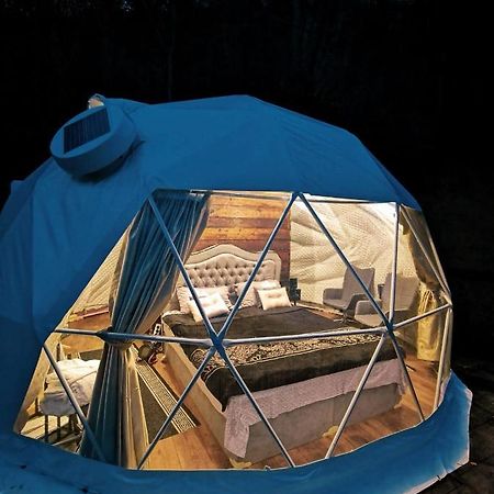 ホテルApuseni Glamping Retreat Bucium  エクステリア 写真