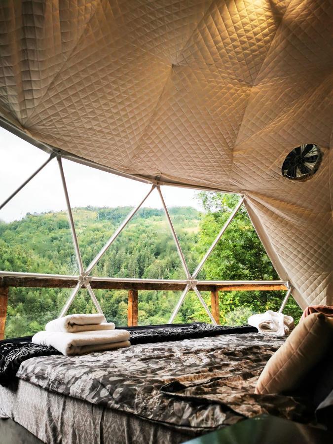 ホテルApuseni Glamping Retreat Bucium  エクステリア 写真