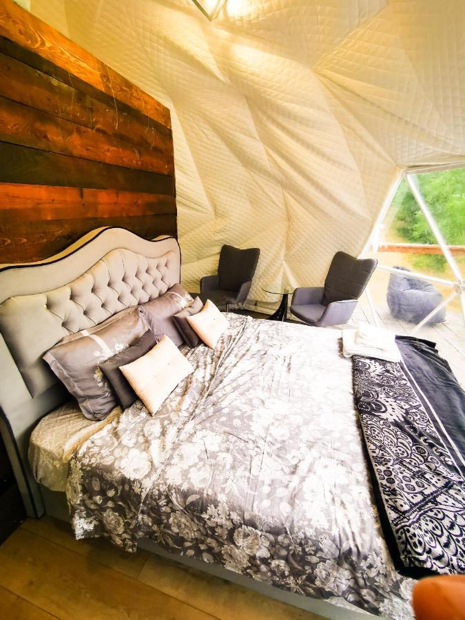 ホテルApuseni Glamping Retreat Bucium  エクステリア 写真