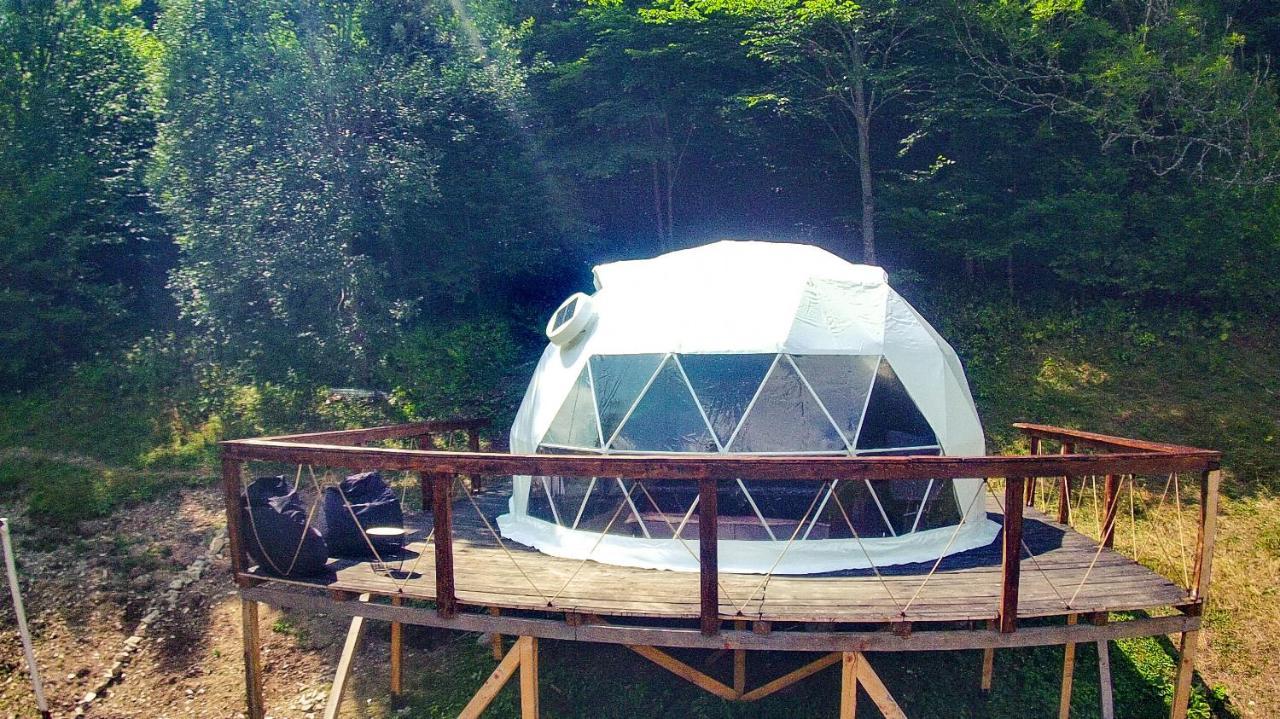 ホテルApuseni Glamping Retreat Bucium  エクステリア 写真