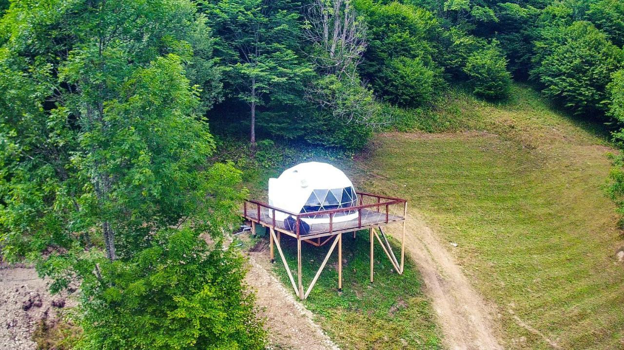 ホテルApuseni Glamping Retreat Bucium  エクステリア 写真