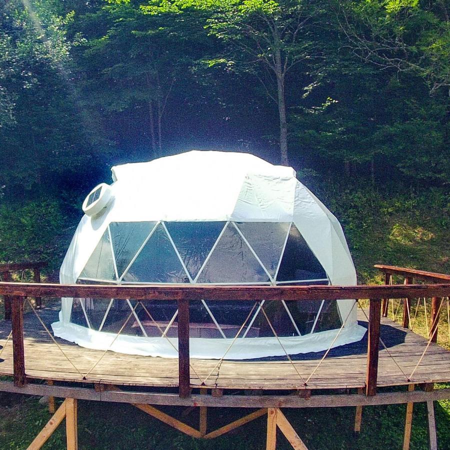 ホテルApuseni Glamping Retreat Bucium  エクステリア 写真