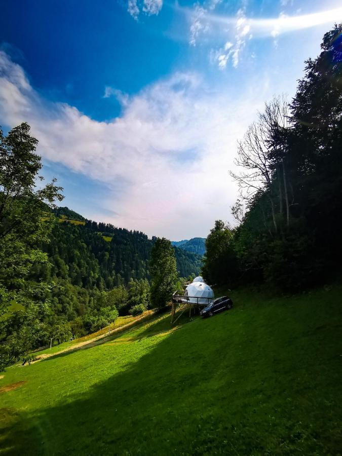 ホテルApuseni Glamping Retreat Bucium  エクステリア 写真