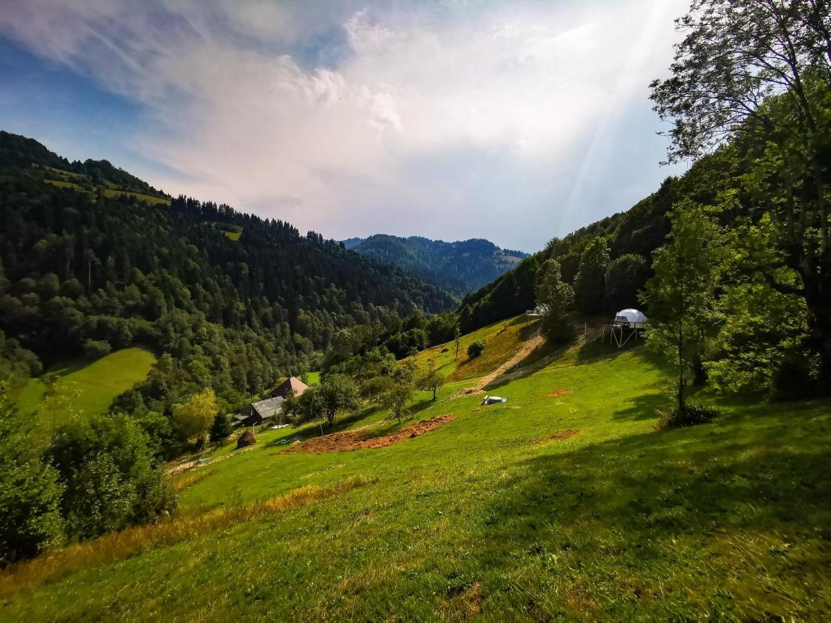 ホテルApuseni Glamping Retreat Bucium  エクステリア 写真