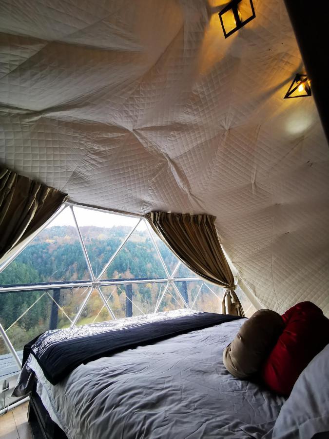 ホテルApuseni Glamping Retreat Bucium  エクステリア 写真