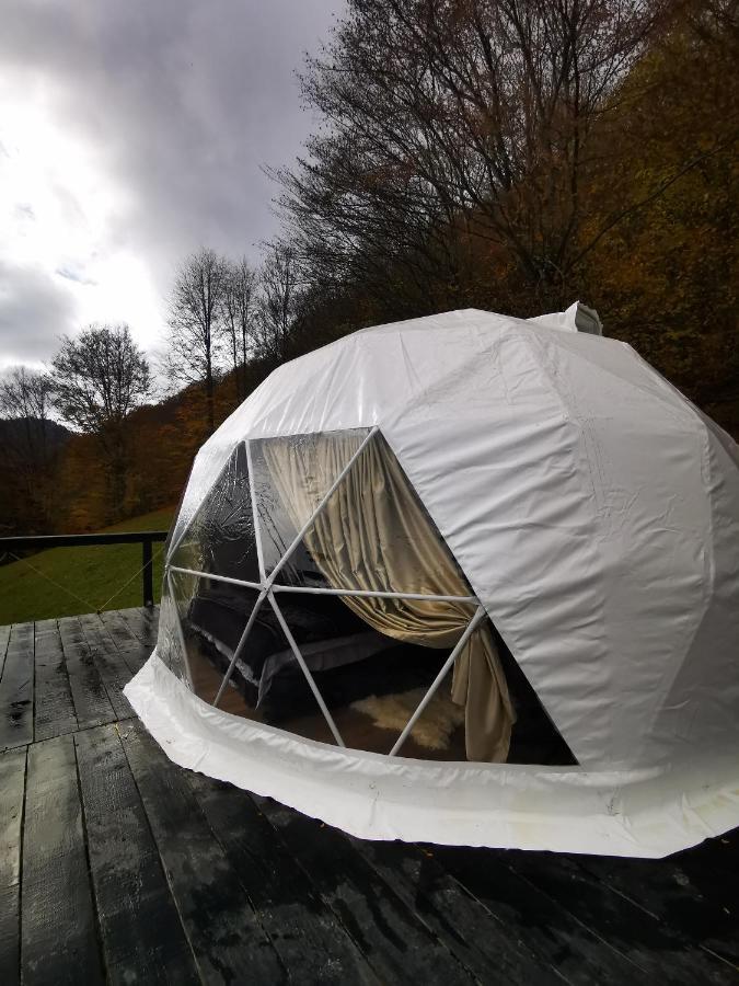 ホテルApuseni Glamping Retreat Bucium  エクステリア 写真