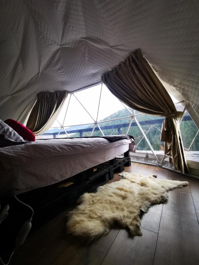 ホテルApuseni Glamping Retreat Bucium  エクステリア 写真