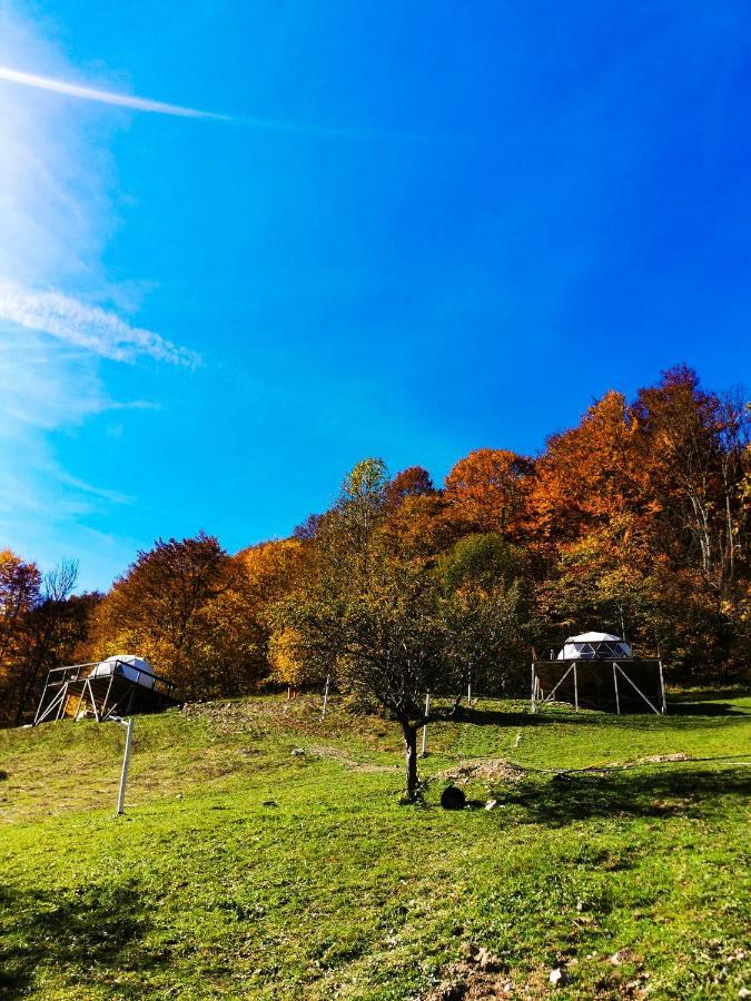 ホテルApuseni Glamping Retreat Bucium  エクステリア 写真