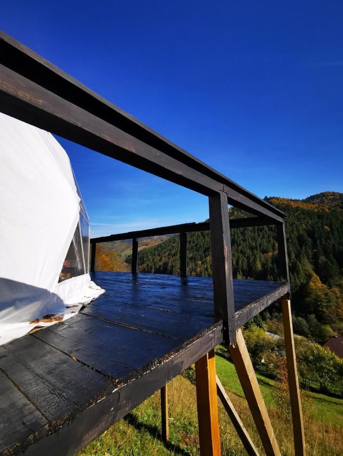 ホテルApuseni Glamping Retreat Bucium  エクステリア 写真